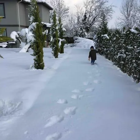Detached Among The Greenery In Sakarya Hendek