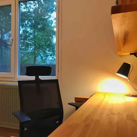 Villa Detached Among The Greenery In Sakarya *