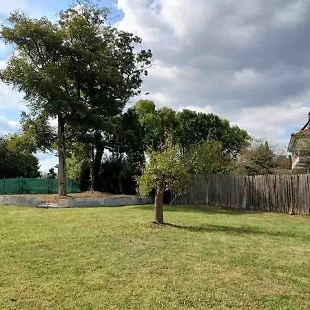 Villa Detached Among The Greenery In Sakarya *