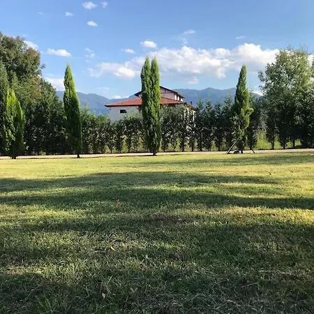 Villa Detached Among The Greenery In Sakarya *