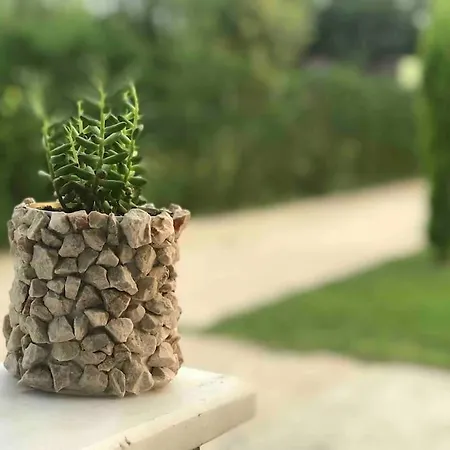 Detached Among The Greenery In Sakarya Hendek
