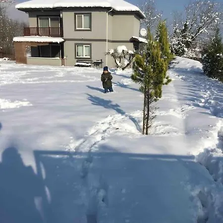 Detached Among The Greenery In Sakarya *