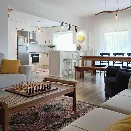 Detached Among The Greenery In Sakarya Villa