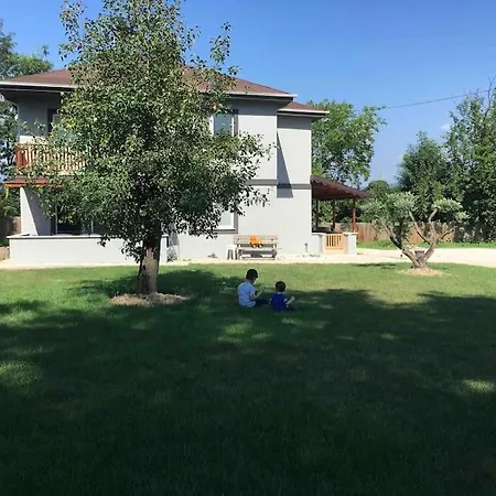 Detached Among The Greenery In Sakarya فيلة *