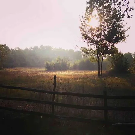 Detached Among The Greenery In Sakarya * Hendek