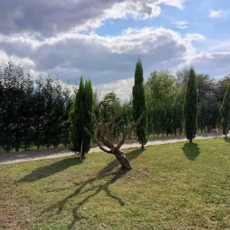 Villa Detached Among The Greenery In Sakarya
