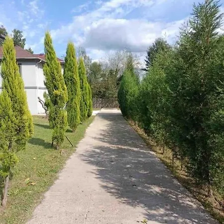 فيلة Detached Among The Greenery In Sakarya *