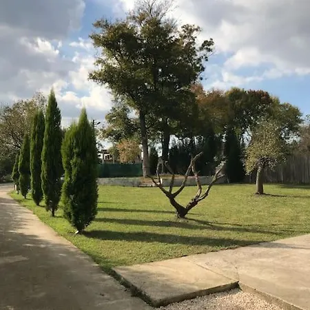 Detached Among The Greenery In Sakarya Hendek