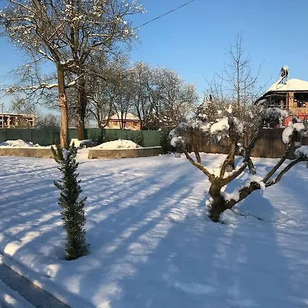 Detached Among The Greenery In Sakarya Villa Hendek